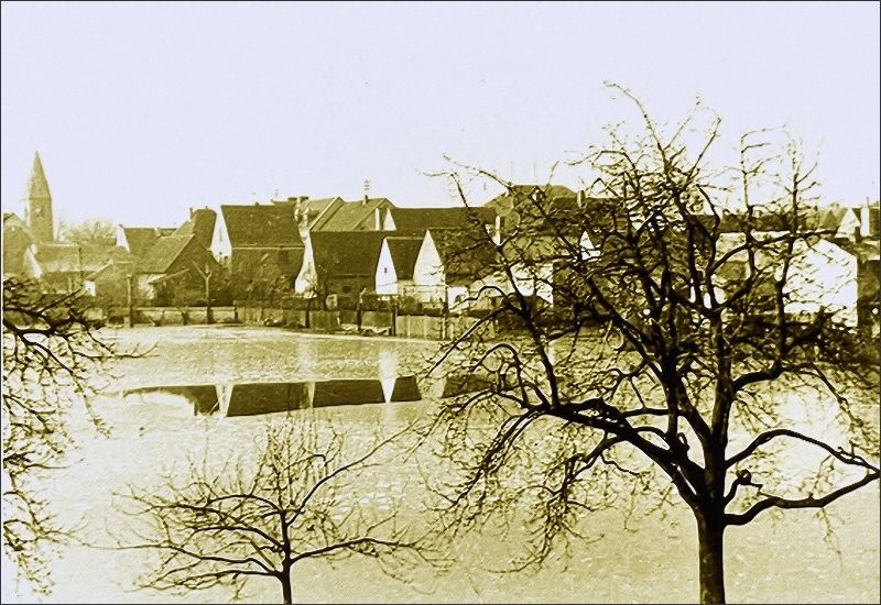 Rheinstraße - Hochwasser in den Gärten | Aufnahme von 20. Januar 1955