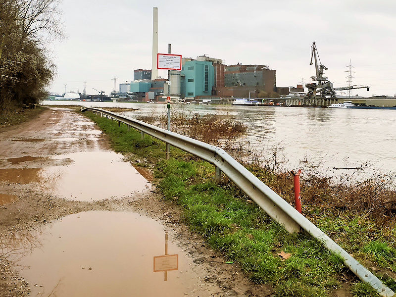 Hochwasser Altrip | 1. Februar 2021