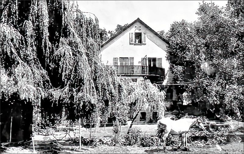 Der Altriper Rexhof an der früheren Bezirksstraße (heute Rheingönheimer Straße 65) im Jahr 1960, als er gegründet wurde. 