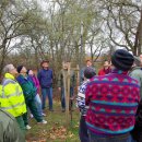 9./16.03.2019 | Baumpflege unter professioneller Anleitung  – ALTRIP BLÜHT