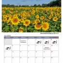 HGV-Kalender 2025 | Juli